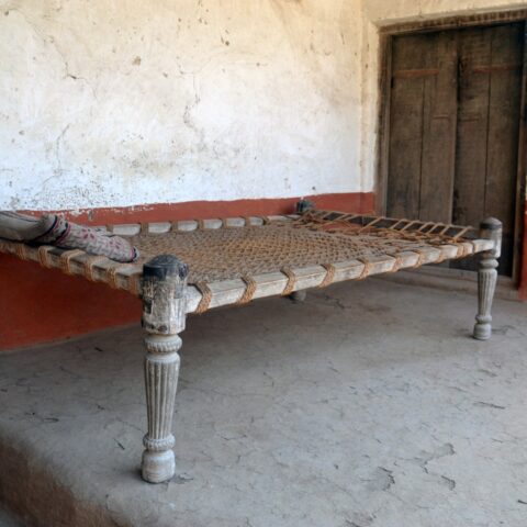 Dholni