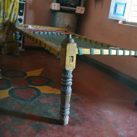 Dholni