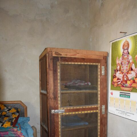 Jaali