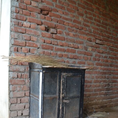 Jaali