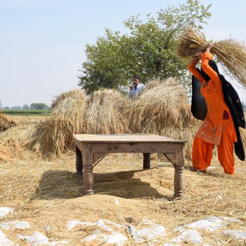 Takhat
