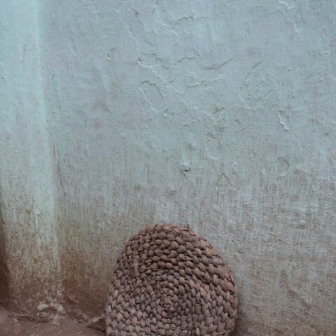 Mudha
