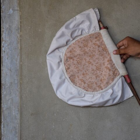 Pakkhi