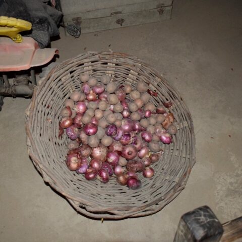Tokra