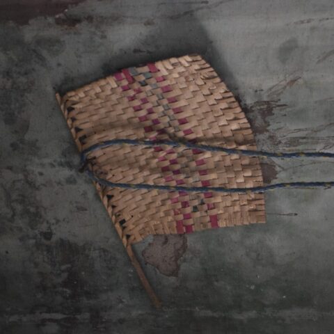 Pakkhi