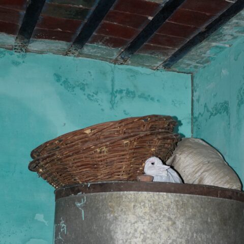 Tokri