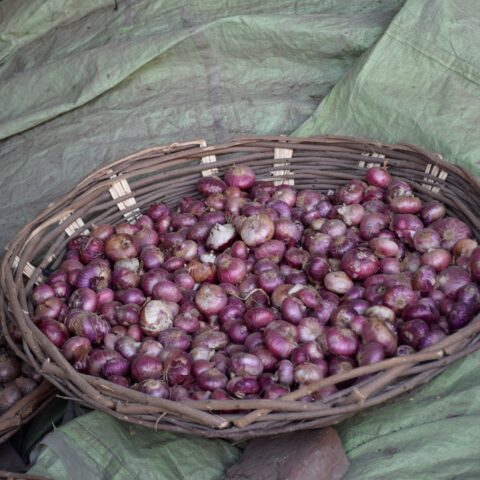 Tokra