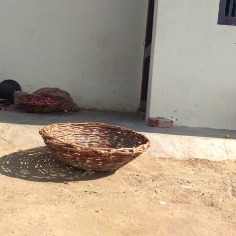 Tokri
