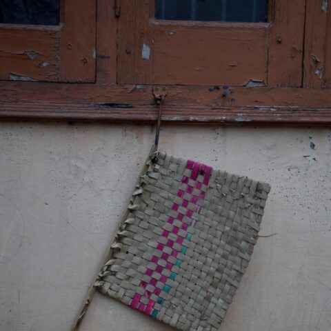 Pakkhi