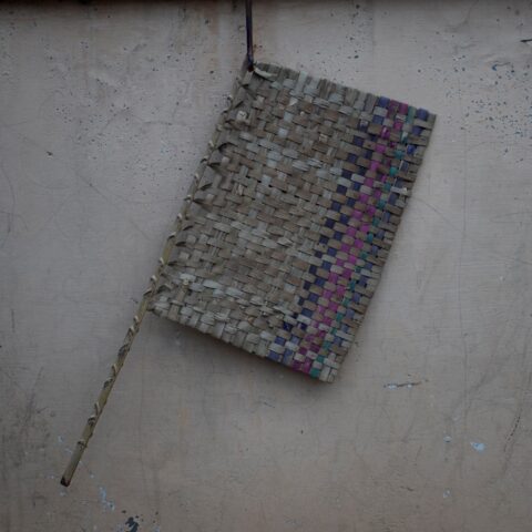 Pakkhi