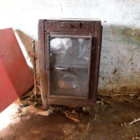 Doli