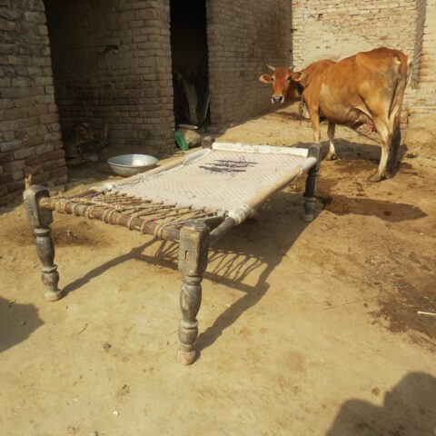 Macha